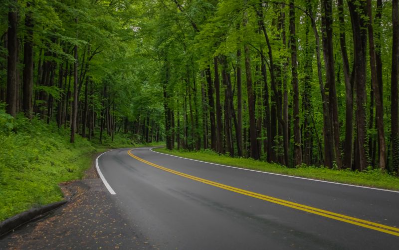 Road Coating Service in Denver, CO
